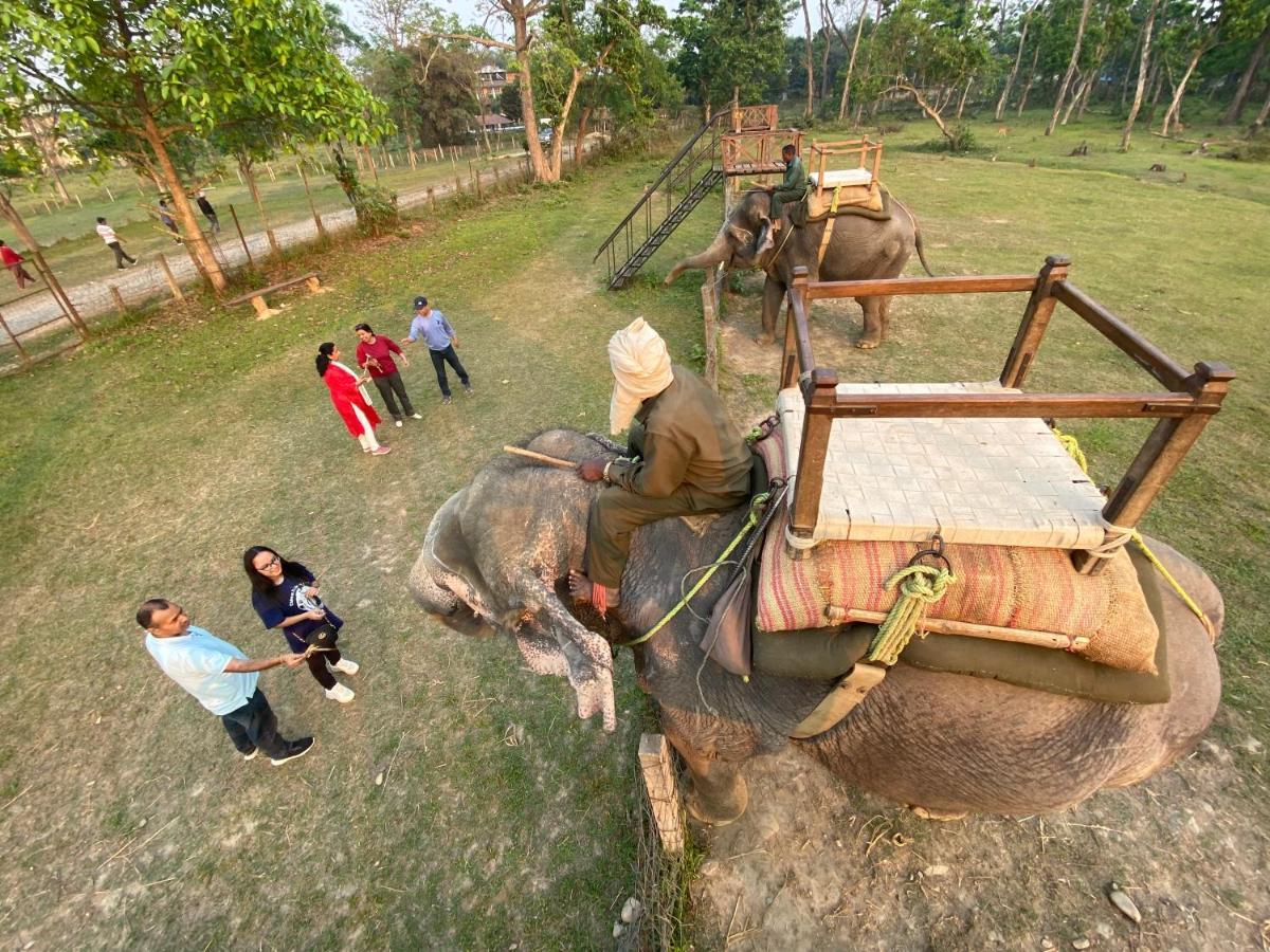 Hotel Shiva'S Dream Sauraha Eksteriør bilde
